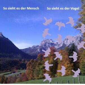 Birdsticker Dr. Kolbe