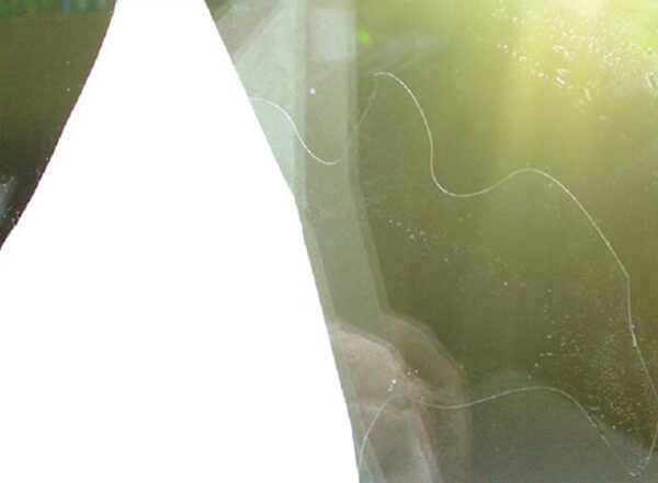 Birdsticker Nahaufnahme