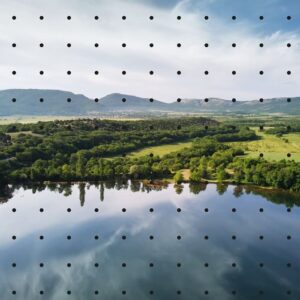 Vogelschutzfolie Wingsafe montiert auf einer Glaswand